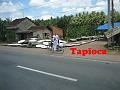 090081 tapioca